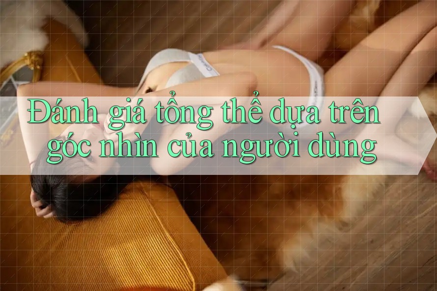 Đánh giá tổng thể dựa trên góc nhìn của người dùng