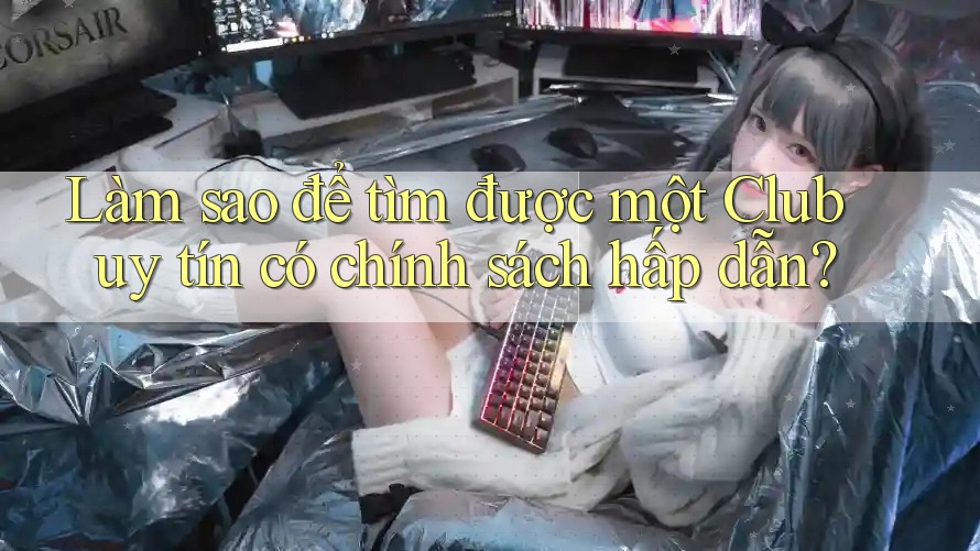 Làm sao để tìm được một Club uy tín có chính sách hấp dẫn? Làm sao để tìm được một Club uy tín có chính sách hấp dẫn?