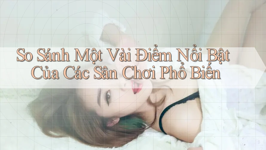 So Sánh Một Vài Điểm Nổi Bật Của Các Sân Chơi Phổ Biến