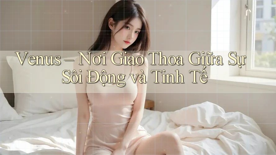 Venus – Nơi Giao Thoa Giữa Sự Sôi Động và Tinh Tế